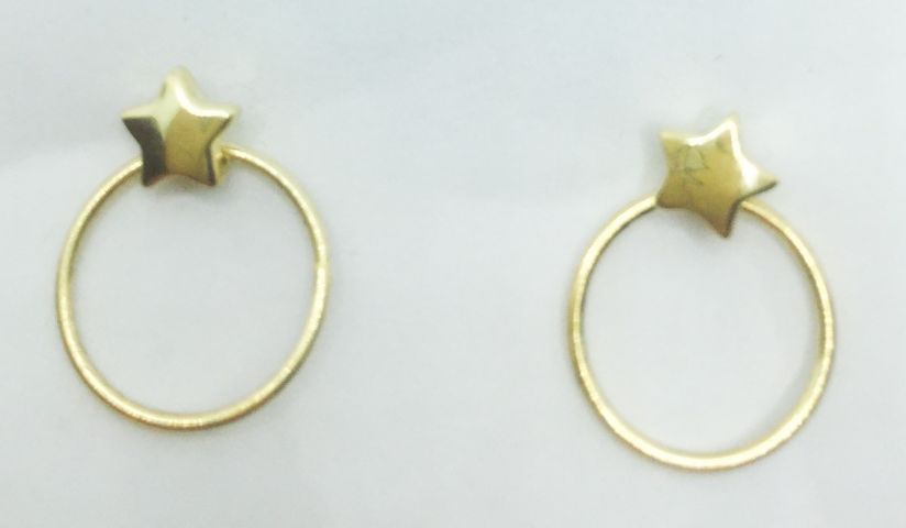 Pendientes Chapado Estrella