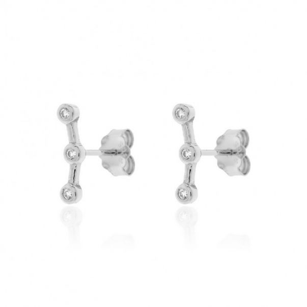 Pendientes Trepadores